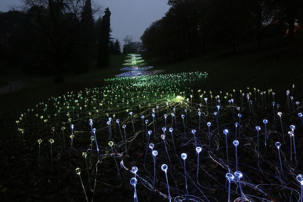 Field of Light. A large scale lighting installation created by lighting designer Bruce Munro. The Field of Light is made up of over 15,000 separate lights. These are 'Planted' in a variety of environments, the sculpture slowly changes colour, creating a shimmering field of light. 