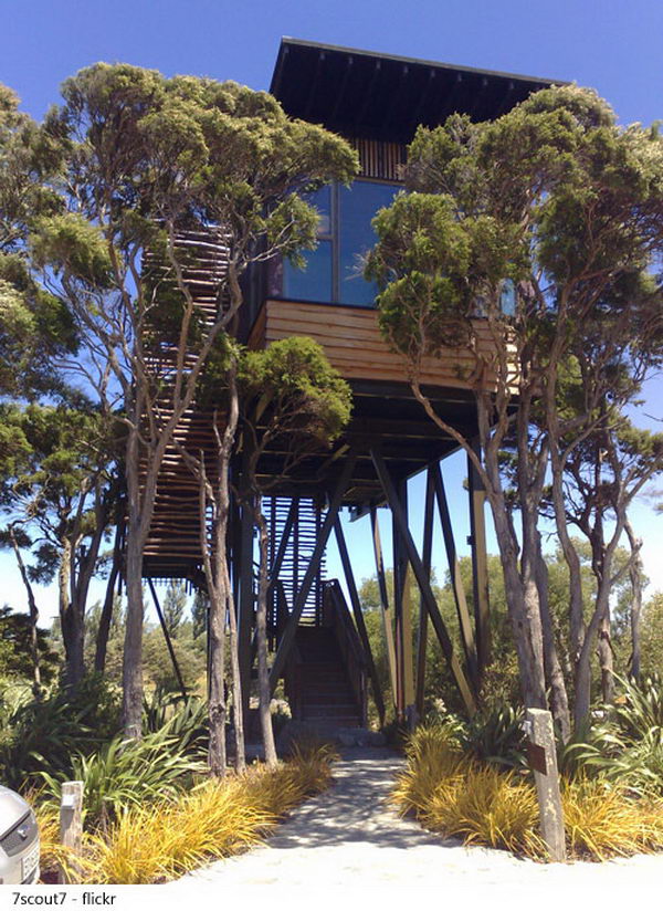 Hapuku Lodge, Kaikoura, New Zealand. Located a little over 6 miles north of the eco tourism town of Kaikoura, Hapuku Lodge features five luxurious tree houses, three luxury suites, a unique luxury room that overlooks the pool and a one bedroom room. 