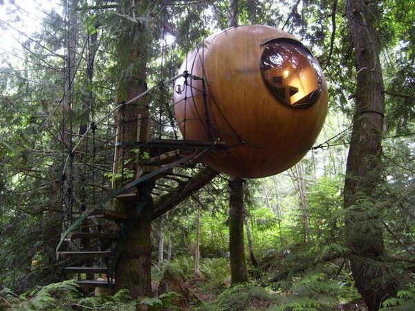 Free Spirit Spheres   Qualicum Beach, BC. These treehouse spheres are set amongst the lush Pacific Northwest rainforest. It is open all year long, and is especially cozy in snowy winters. 