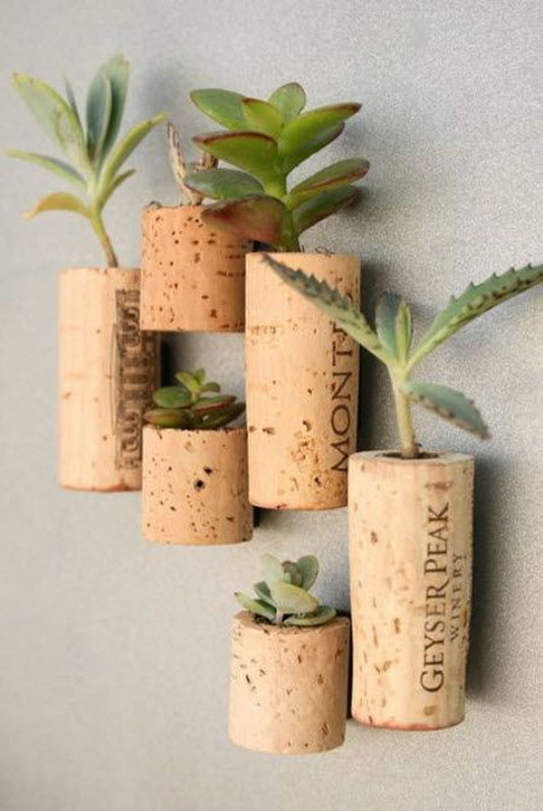 Wine cork planters on wall. These container gardening ideas offer a great way to brighten your surroundings immediately. Make your home look different unique and interesting. 