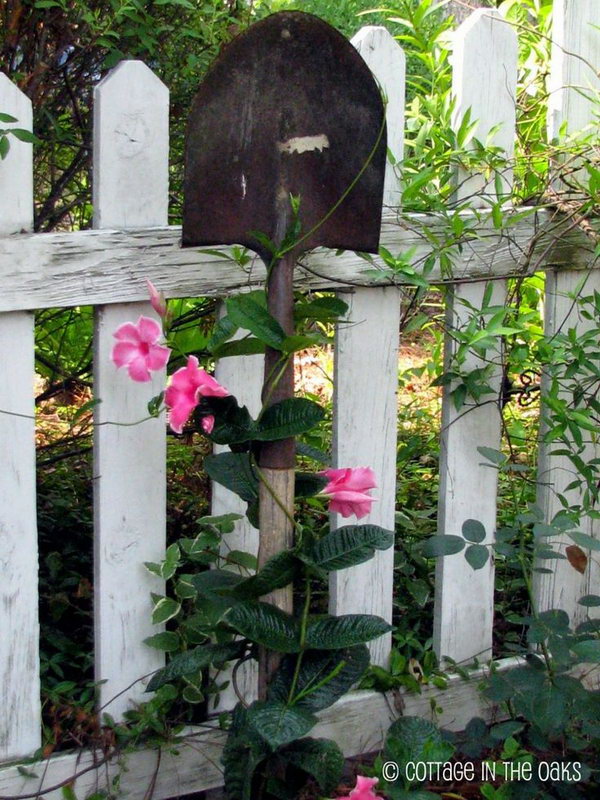 The old or even broken shovels can be turned into trellises in one of the rose beds in the garden. 