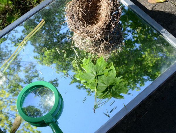 Mirrors used to explore nature. Place such a large mirror with some smaller specimen mirrors on top in your garden. More nature beauty will bring into your garden. 