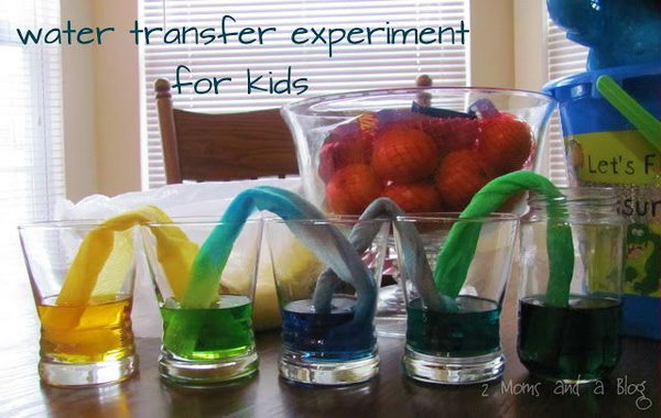 Paper towel water transfer science experiment for kids. This is a fun and educational science experiment and the kids get so much science fun from this wonderful game. But this takes patience... probably you will wait at least three hours till the water made it through the other cups. 