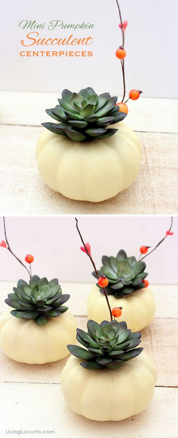 Mini Pumpkin Succulent Centerpiece Craft. 