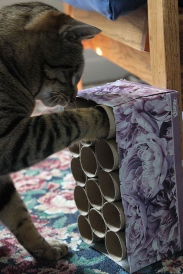 Love Your Fur Baby with These Cutest DIY Projects