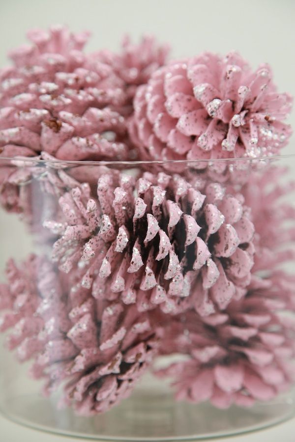 30 Beautiful Pinecone Decorating Ideas & Tutorials for Holiday