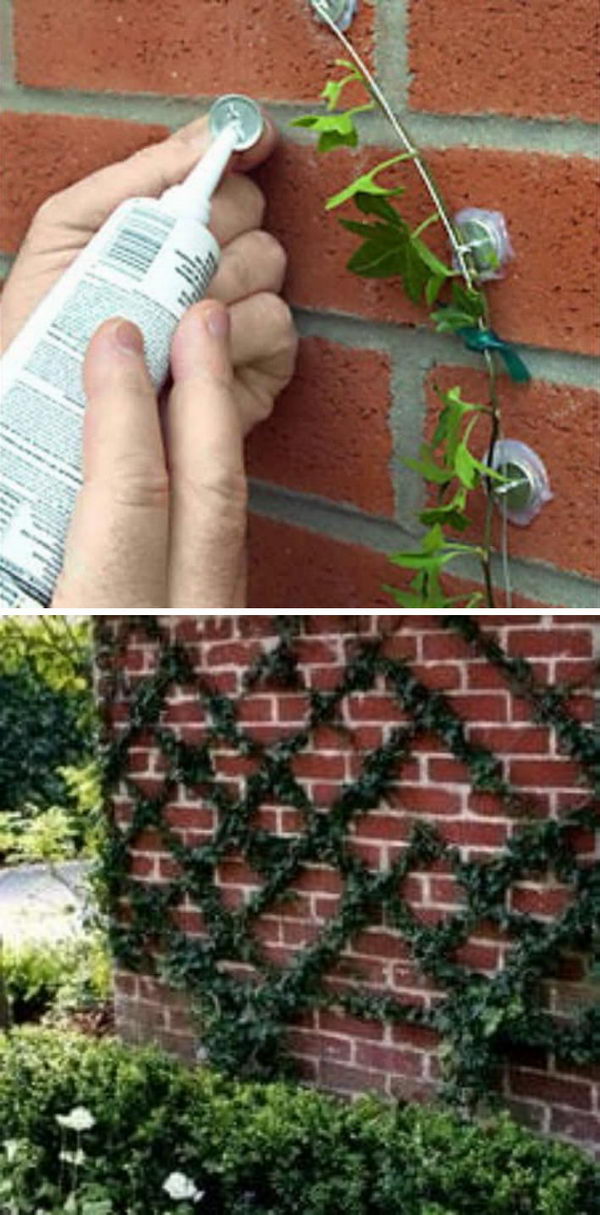 This brilliant kit lets you create a trellis in any shape that you want. 