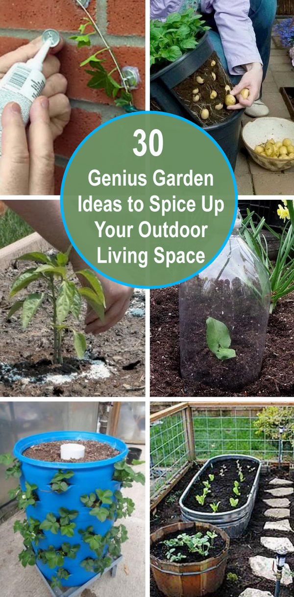 30+ Genius Garden Ideas to Spice Up Your Outdoor Living Space